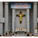 분당-289 이미지