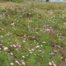 까르따스유치원 이미지