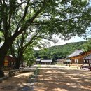 무위사 주차장 이미지