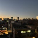 서울 강남 삼정호텔 숙박 더블룸 숙박 후기