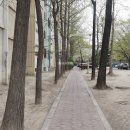 노원-상계-2766 이미지