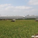 동일리 지석묘 1호 이미지