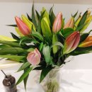 다빈치한의원 이미지