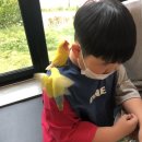 리프패럿진해점 | [진해 카페] 앵무새를 만나볼 수 있는 리프패럿 다녀왔어요.