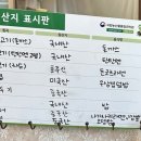 팔월가배