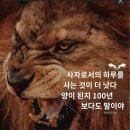 서울 광화문_이동욱,이왕재교수님 영상 공유 이미지