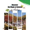 주식회사 웰니스온 이미지