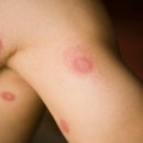 걸포북변역 이미지