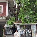하비맥스 | <하체부종 영양제/ 레그필> 2주 섭취 하비탈출기 솔직 후기