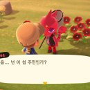 너굴상점 이미지