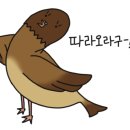 사평대로10길 7-4 이미지