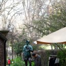 피츠로이가든 이미지