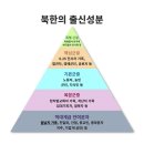 북한 독재정권은 남한 자유좌파를 독벌레시 합니다 이미지