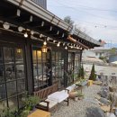 양평애견택시 | 양평애견동반카페 녹원 독채가 있어 더 편안한 양평 '녹원'