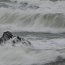 신장개업 이미지