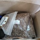 평사1리 이미지