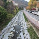 시청앞부동산공인중개사사무소 이미지