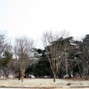 후평숲캠핑장 네이버블로그