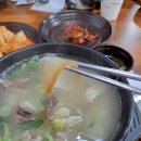 오늘은뭐먹지 - 진천군 | 오늘은뭐먹지