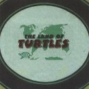 아지랑양이 이미지