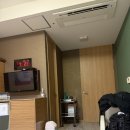 투투 동물병원 | 경산모 출산 후기/ 조리원 생활 /거제 미즈맘 /거제 몽드필라테스 / 거제산전산후필라테스 (1)