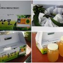 세동농장 이미지