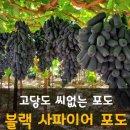 한가득축산물 - 부천시 소사구 경인로 101 | 한가득축산물