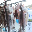 외포등대횟집 이미지