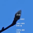 그대봄