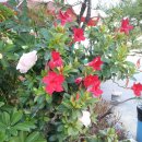 신한농장 이미지