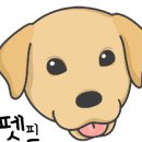투개더 이미지