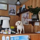 성산은하식당