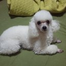 마천시장 이미지