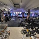 코카머슬로즈PT 이미지