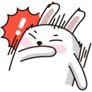 명함씨