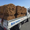 (주)코아월드 이미지