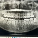 서울김치과의원 이미지