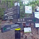 지리산 미완의 무박종주(성삼재 ~ 중산리 - 150806). 이미지