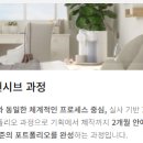 브이다스