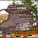 4월8일 월요일 (출석부) о♡ 신안 섬 튤립 축제장 ♬..(*‿*✿) 이미지