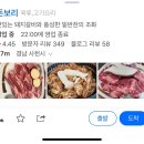 돈보리 이미지
