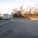 금당엄나무마을 이미지