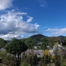 [2025년 연중 제26주일 (세계 이주민과 난민의 날)] 임 씨 할아버지와 나자로 이미지