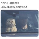 신전떡볶이기지시점 | 퇴사하겠읍니다 몬해먹겠음요-2月