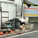 마산동 인형뽑기 | 2025.01.26 명상정원🦢