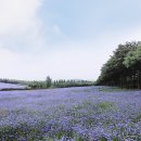 들판의추억목장 이미지