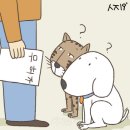 양이멍이 이미지