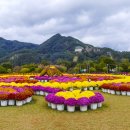 요산공원 이미지