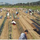 용해농장 이미지