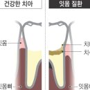 신테크 이미지